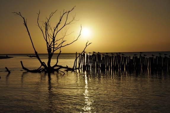 Belo entardecer na ilha de Holbox, no norte do Yucatán, no México